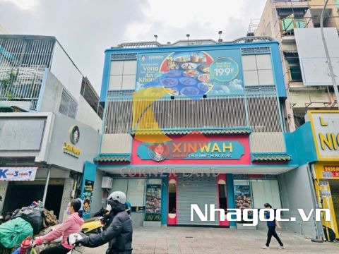 Cho thuê nhà 4 Hoàng Hoa Thám, Phường 12, Quận Tân Bình, Hồ Chí Minh
