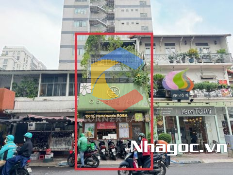 Cho thuê nhà 55D Hồ Xuân Hương, Phường 6,  Quận 3, Hồ Chí Minh