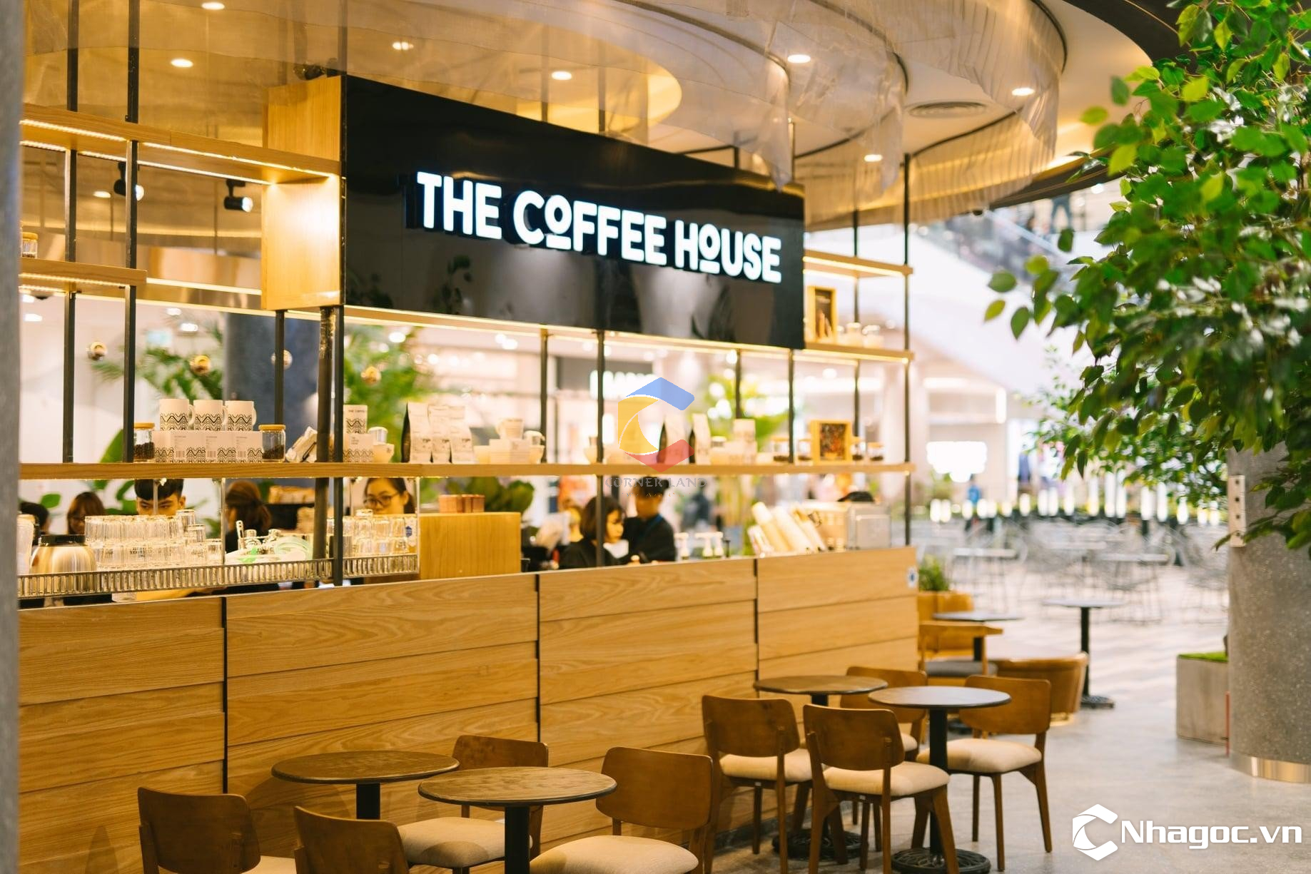 'Rót' 5 triệu USD vào Seedcom - ngân hàng Thái Kasikornbank muốn tái cơ cấu chuỗi The Coffee House?